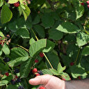 Bankacılığı bıraktı: Şimdi siparişlere yetişemiyor