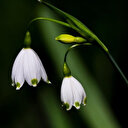 Bin 784 yeni tür tespit edildi