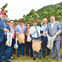 Fındık fiyatı borsayla artar