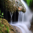 Kelebekler diyarı 160’dan fazla türe ev sahipliği yapıyor