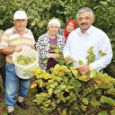 Alım fiyatları yüz güldürdü