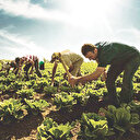 ABD-Çin çekişmesi Türk çiftçilere yarar