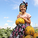 Karaman’da hasadı başlayan kavun üreticinin yüzünü güldürüyor