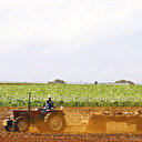 8,5 milyon hektar arazi
5 yılda toplulaştırılacak