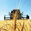 Tarımda tek çatı kazandıracak