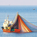 Yasa dışı balık avına 18 milyon TL ceza var