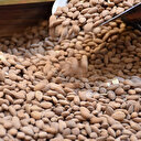 Kayısı çekirdeği fiyatları arttı