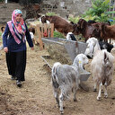 17 bin lirayla başladı: Siparişlere yetişemiyor