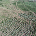 TOKİ: AOÇ arazilerinin kiralanması ile ilgimiz yok