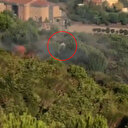 Pendik ormanının kundaklanma anı kamerada