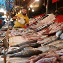 Tezgahlar balıkla doldu taştı, fiyatlar yarı yarıya düştü