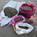 3 teröristin etkisiz hale getirildiği operasyonda silah ve uyuşturucu ele geçirildi