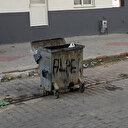 Çöpteki ağlama sesini duyan kadın bebeği etrafına toplanan köpeklerin parçalamasından kurtardı