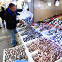 Balık stokları için kritik uyarı!