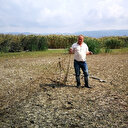 İznik gölü çekildi: Balık ağları ortaya çıktı