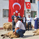 Mehmetçik ve vatan için sınırda 50 kurban kesildi
