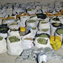 PKK'ya yönelik operasyonda 5 ton esrar, 1 milyon 337 bin kök Hint keneviri ele geçirildi