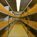 Altında tüm zamanların rekoru: 3 bin tona yaklaştı