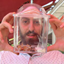 Sarı kız olarak bilinen örümceği cam fanusta besliyor: Her gün et veriyoruz