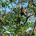 Sadece yükseklik korkusu olmayan erkekler çalışabiliyor: Günlük 350 TL yevmiye