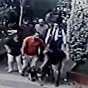 Pitbull dehşeti kamerada