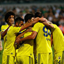 Yukatel Denizlispor-Fenerbahçe: 1-2