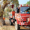 Ağaç kovuğunda ateş yakan piknikçiler pes dedirtti