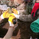 PKK sığınağı tespit edildi: Jandarma tek tek çıkardı