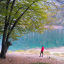 Göldeki ağaçlar sular çekilince ortaya çıktı: 300 yıl önce heyelan sonucu oluştu