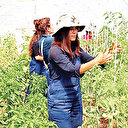 Para AVM’de değil tarımda