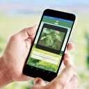 Tarladaki hastalığa cepten yakın takip