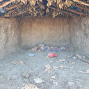 25 yıl dağdaki bir sığınakta saklanan cinayet zanlısı yakalandı