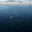 İstanbul'un depremlerle batan adası havadan fotoğraflandı