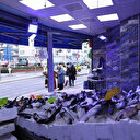 Balıkçıların mavi ışık hilesini zabıta engelledi: Balıkların kusurlarını gizlemeye çalışıyorlar