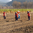 11 Kasım ‘ağaç bayramı’