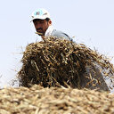 Tarım Bakanı açıkladı: Çiftçilere 284 milyon liralık destek