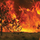 Avustralya’da yangınlar can aldı