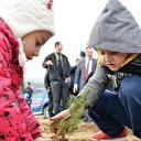 Saat 11.11’de 11 milyon fidan