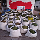 Kıran-5 operasyonunda 1 ton 615 kilogram esrar ile çok sayıda mühimmat ele geçirildi