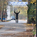 Bakan Soylu: Tampon bölgede kalan DEAŞ'lı İstanbul'dan uçakla ABD'ye gönderildi