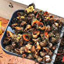 Deniz ürünleri ihracatında önemli bir yer tutan deniz salyangozu balıkçıların gelir kaynağı oldu