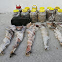 Bitlis'te PKK'ya darbe: Çok sayıda silah ve mühimmat ele geçirildi