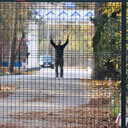 İçişleri Bakanlığı: Sekiz günde 15 yabancı terörist savaşçı sınır dışı edildi