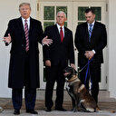 ABD Başkanı Trump Bağdadi operasyonunda görevli köpeğe plaket ve madalya verdi