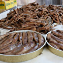 Gelibolu’da Rumlardan kalma 200 yıllık lezzet; tuzlu balık