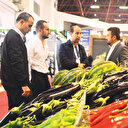 Sera A.Ş. görücüye çıktı