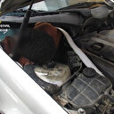 İspanya'ya kaçak girmeye çalışan göçmenler torpido gözünde saklanmış halde bulundu