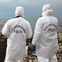 Van Gölü'nde sular çekilinde kafatası ve kemikler ortaya çıktı