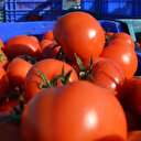 Kasımda en fazla domatesin fiyatı arttı, fiyatı en fazla azalan ise pırasa oldu