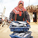 Balık pazarında kadın sesi